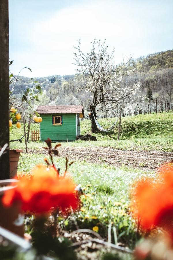 Apartma Moser Podnanos Esterno foto
