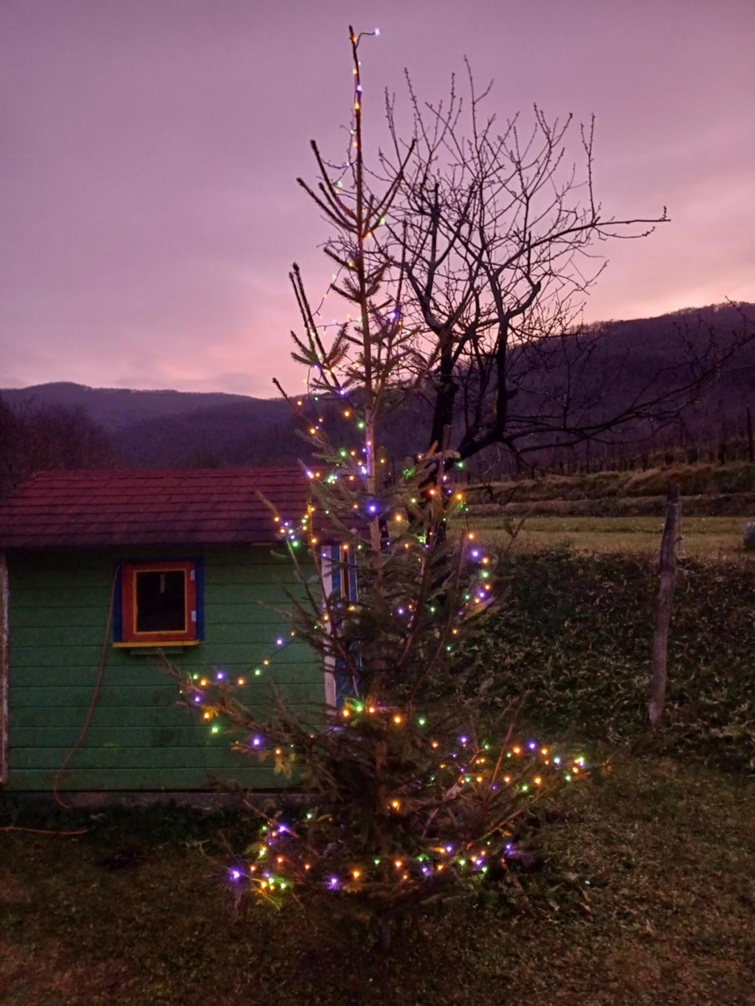 Apartma Moser Podnanos Esterno foto